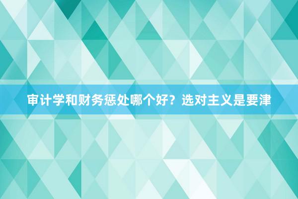 审计学和财务惩处哪个好？选对主义是要津