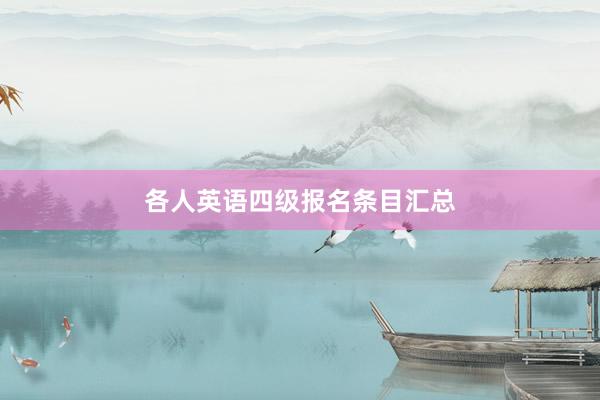 各人英语四级报名条目汇总