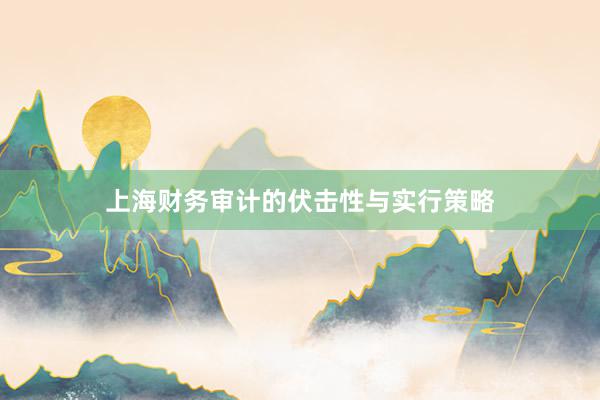 上海财务审计的伏击性与实行策略