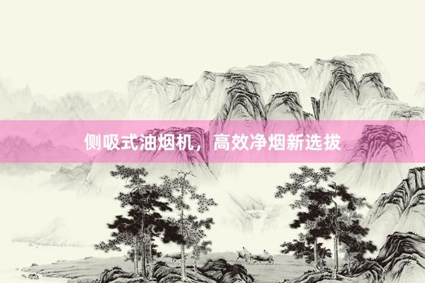侧吸式油烟机，高效净烟新选拔
